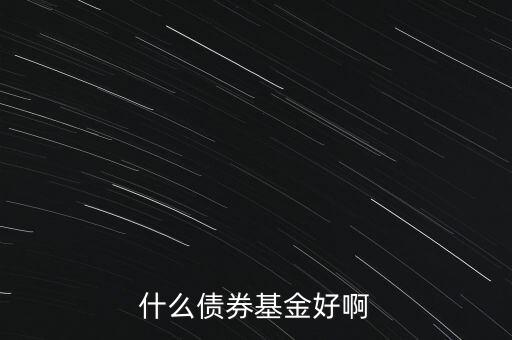 什么債券基金好，什么債券基金好啊