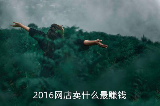 2016做什么網(wǎng)站最賺錢，2016網(wǎng)店賣什么最賺錢