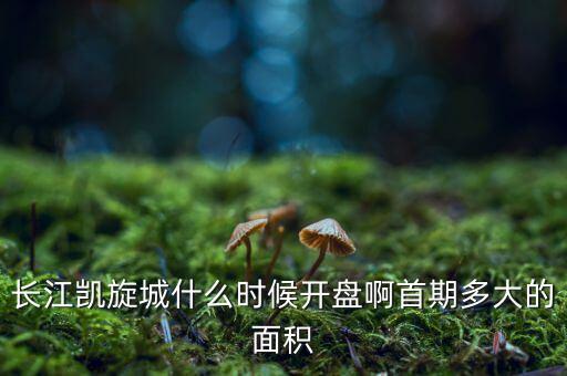 長江凱旋城什么時候開盤啊首期多大的面積