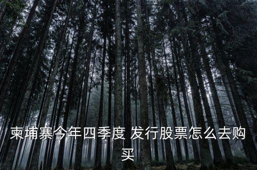 越南什么時候發(fā)行的股票，黑龍江省利源達(dá)能源技術(shù)開發(fā)有限公司是家什么樣的公司他們在越