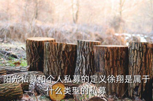 陽(yáng)光私募和個(gè)人私募的定義徐翔是屬于什么類型的私募