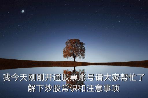 主力羅盤是什么意思，新手如何炒股