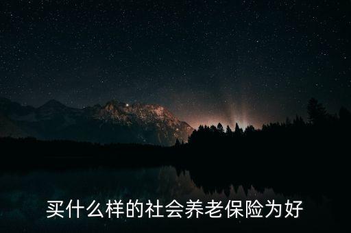 買(mǎi)什么樣的社會(huì)養(yǎng)老保險(xiǎn)為好