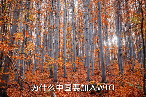 為什么中國要加入WTO