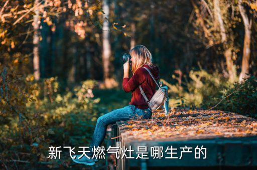 新飛天燃?xì)庠钍悄纳a(chǎn)的