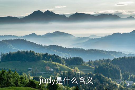 judy是什么含義