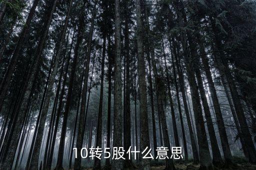 10股轉(zhuǎn)增5股是什么意思，每10股轉(zhuǎn)增5股是什么意思