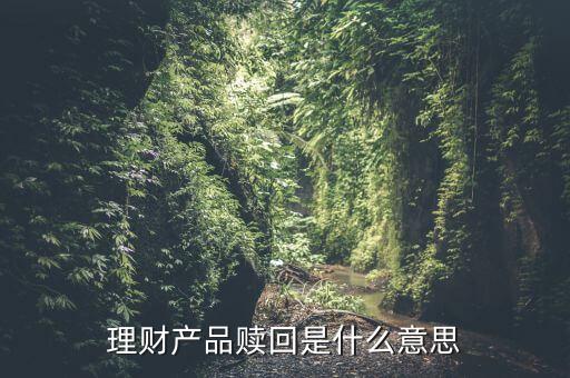 理財(cái)產(chǎn)品贖回是什么意思