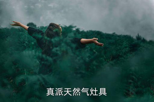 roispam煤氣灶是什么公司的，新飛天燃氣灶是哪生產(chǎn)的