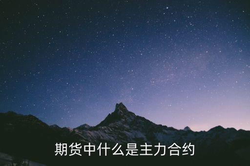 什么是期貨主力席位，期貨滬鉛主力20000是什么意思