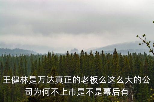 王健林是萬(wàn)達(dá)真正的老板么這么大的公司為何不上市是不是幕后有