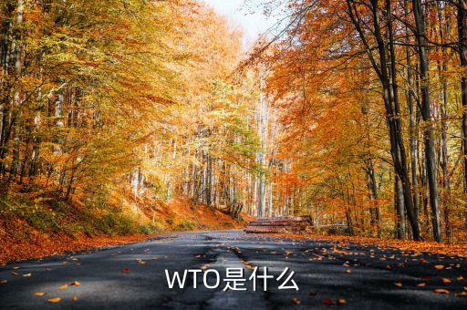 wto指的是什么，WTO是什么