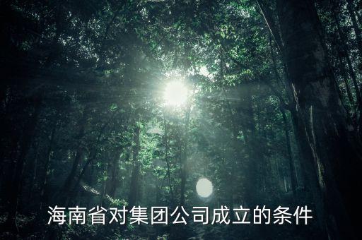 海南省對(duì)集團(tuán)公司成立的條件