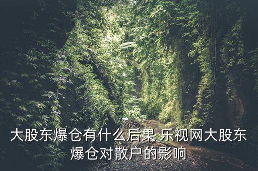 大股東爆倉有什么后果 樂視網(wǎng)大股東爆倉對散戶的影響