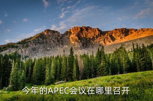 今年apec什么時(shí)候開，今年的APEC會議在哪里召開