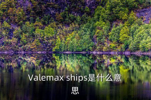 Valemax ships是什么意思