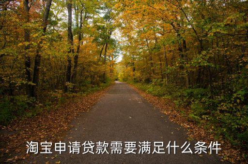 淘寶賣(mài)家借錢(qián)需要什么條件，淘寶客貸款申請(qǐng)條件