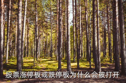 股票漲停板或跌停板為什么會被打開