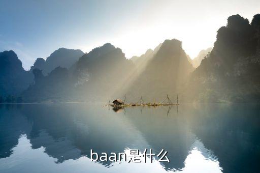 baan是什么