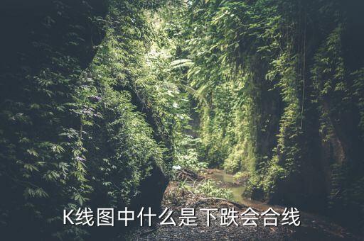 什么是下跌抵抗型陽線，股票說得抵抗式下跌是什么意思