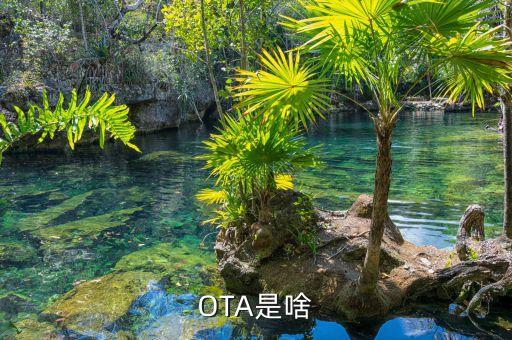 ota領域是什么，OTA是啥