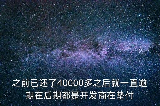 為什么開發(fā)商墊付，之前已還了40000多之后就一直逾期在后期都是開發(fā)商在墊付