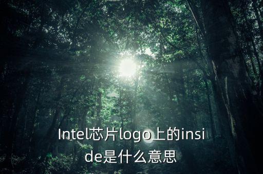 Intel芯片logo上的inside是什么意思