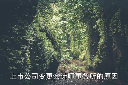 上市公司變更會(huì)計(jì)師事務(wù)所的原因