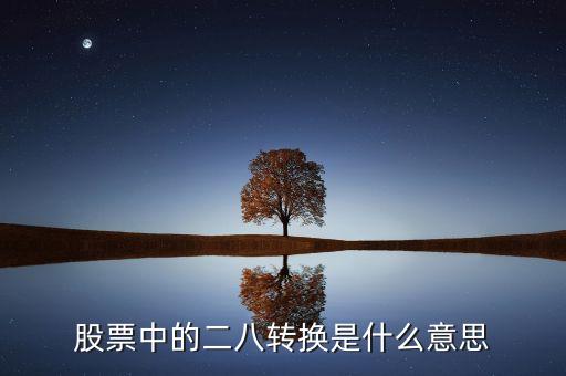 股票中的二八轉(zhuǎn)換是什么意思