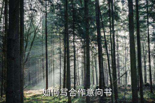 什么是合作意向書，合作意向書與合同有什么區(qū)別