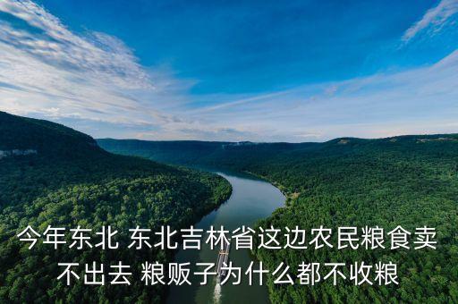 今年東北 東北吉林省這邊農(nóng)民糧食賣不出去 糧販子為什么都不收糧