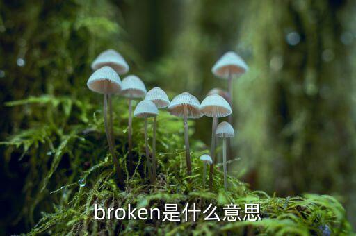 布道者是什么意思，broken是什么意思