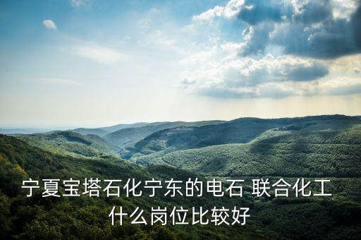 寧夏寶塔石化寧東的電石 聯(lián)合化工 什么崗位比較好