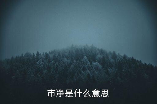 什么叫市凈率，什么是市凈率和市盈率