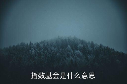 基金指數(shù)什么意思，指數(shù)基金是個什么概念