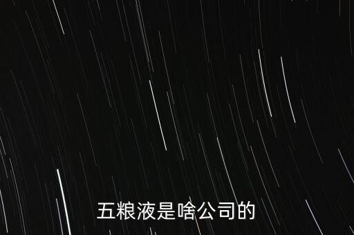 五糧液是啥公司的