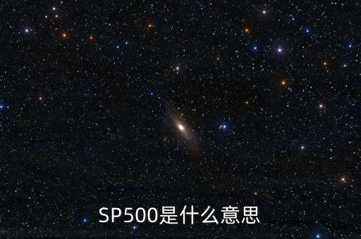 SP500是什么意思