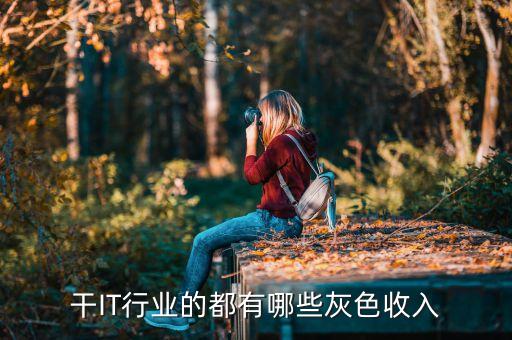 有什么灰色職業(yè)，什么叫灰色行業(yè)