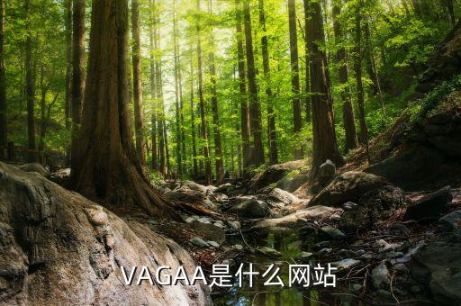 VAGAA是什么網(wǎng)站