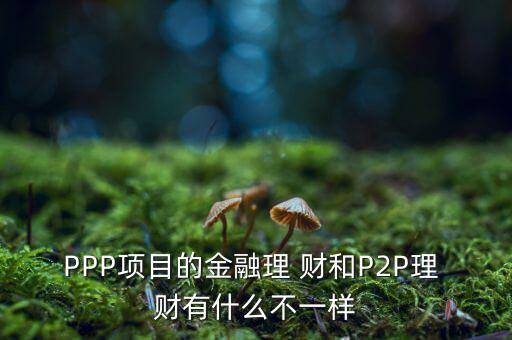 PPP項(xiàng)目的金融理 財(cái)和P2P理 財(cái)有什么不一樣