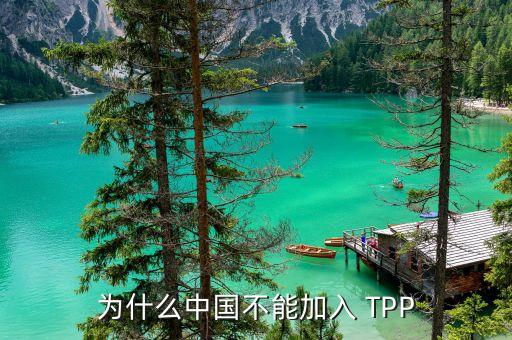 中國加入不了tpp的原因是什么，為什么中國不能加入 TPP