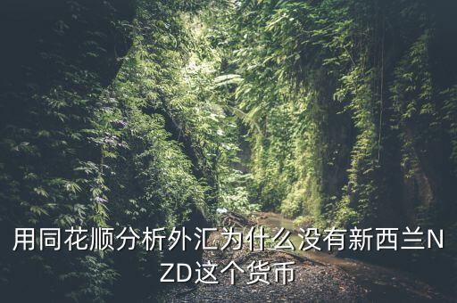 nzd是什么幣種，外匯中各國幣種的字母簡寫