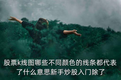 股票k線(xiàn)圖哪些不同顏色的線(xiàn)條都代表了什么意思新手炒股入門(mén)除了