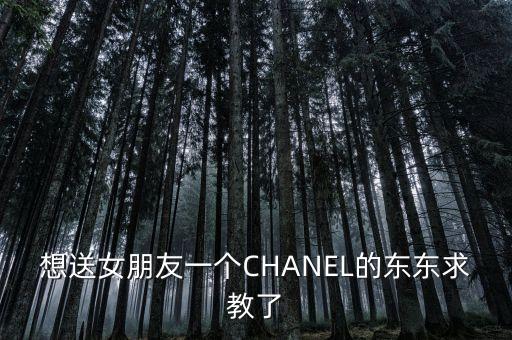 想送女朋友一個CHANEL的東東求教了