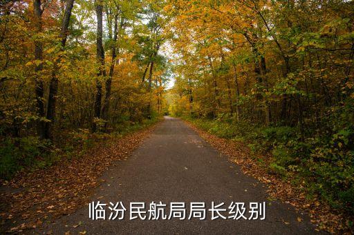 民航總局老干部局局長是什么級別，臨汾民航局局長級別