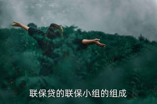 貸款中小組聯(lián)保特征是什么，聯(lián)保貸的聯(lián)保小組的組成