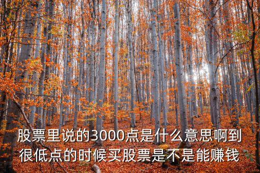 股票3000點(diǎn)什么意思，股票3000點(diǎn)是什么意思