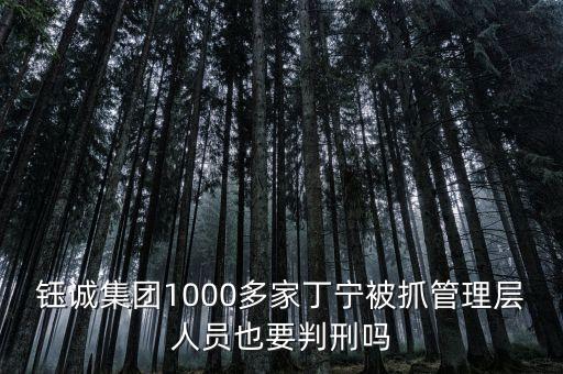 鈺誠(chéng)丁寧什么背景，鈺誠(chéng)集團(tuán)1000多家丁寧被抓管理層人員也要判刑嗎