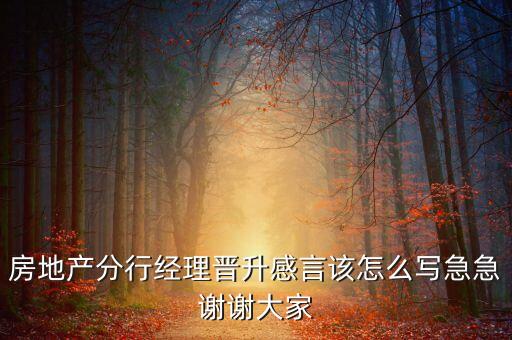 金融公司榮升經(jīng)理要說點(diǎn)什么感言，金融公司開業(yè)總經(jīng)理致辭內(nèi)容