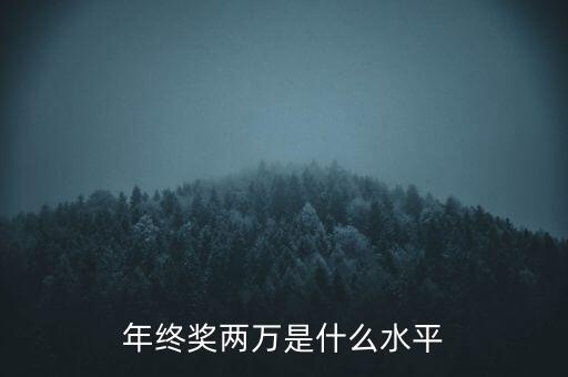 年終獎10000什么水平，月薪1700年終獎一萬算什么水平